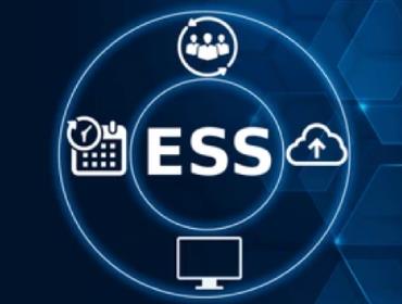 CityPups Dog Adoption Tool